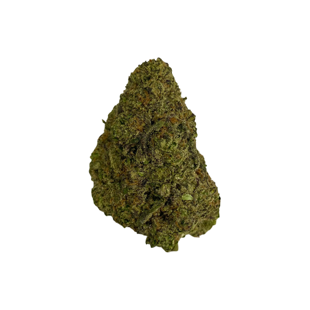 Haven Herb cannabis flower bud with dense green and orange trichomes on black background