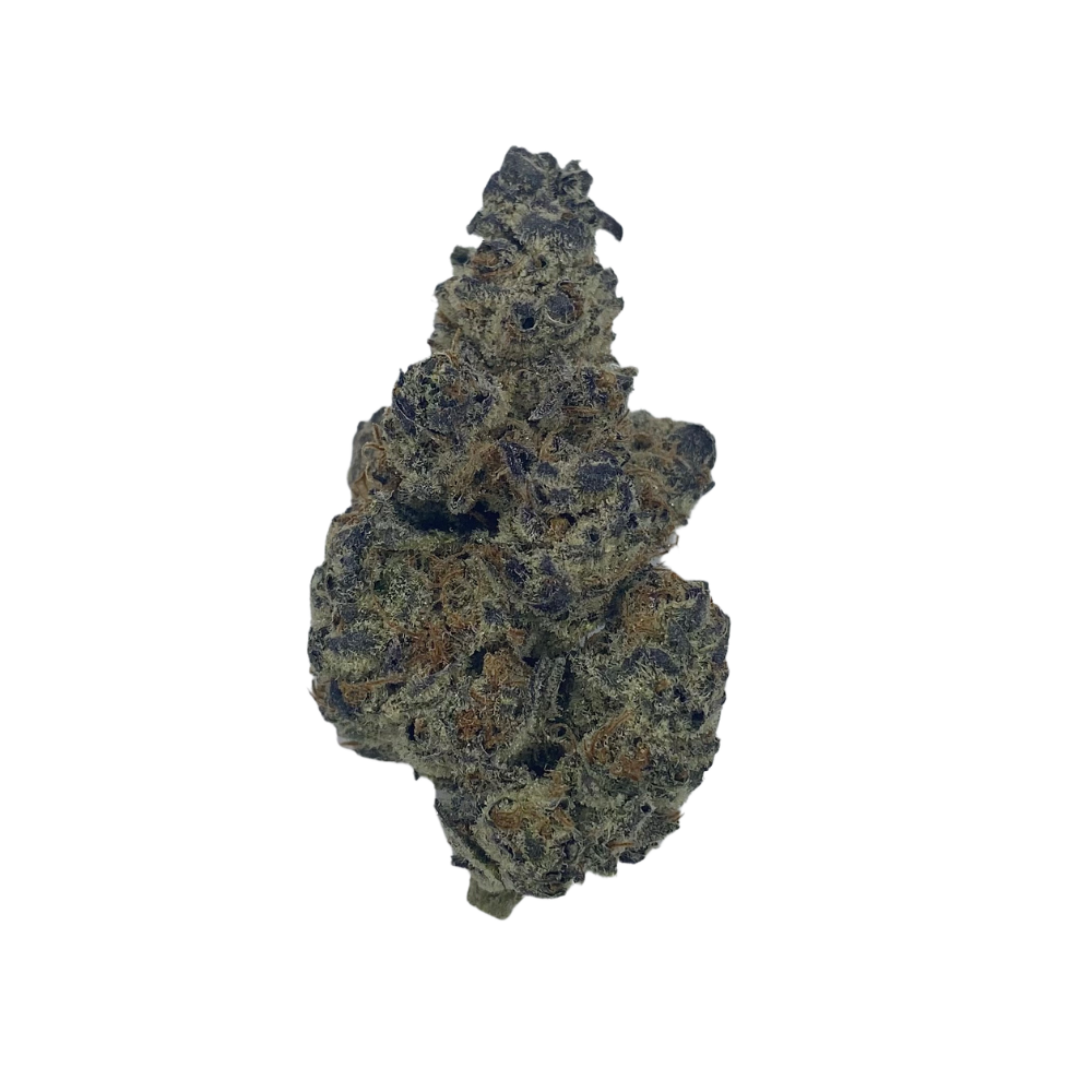 Haven Herb premium hybrid cannabis flower close-up showing dense trichomes and vibrant colors