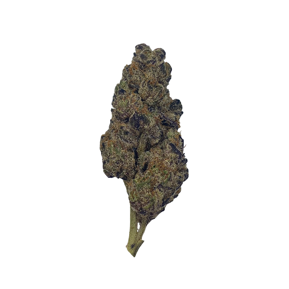 Haven Herb premium indica flower with dense trichomes and rich coloring on black background