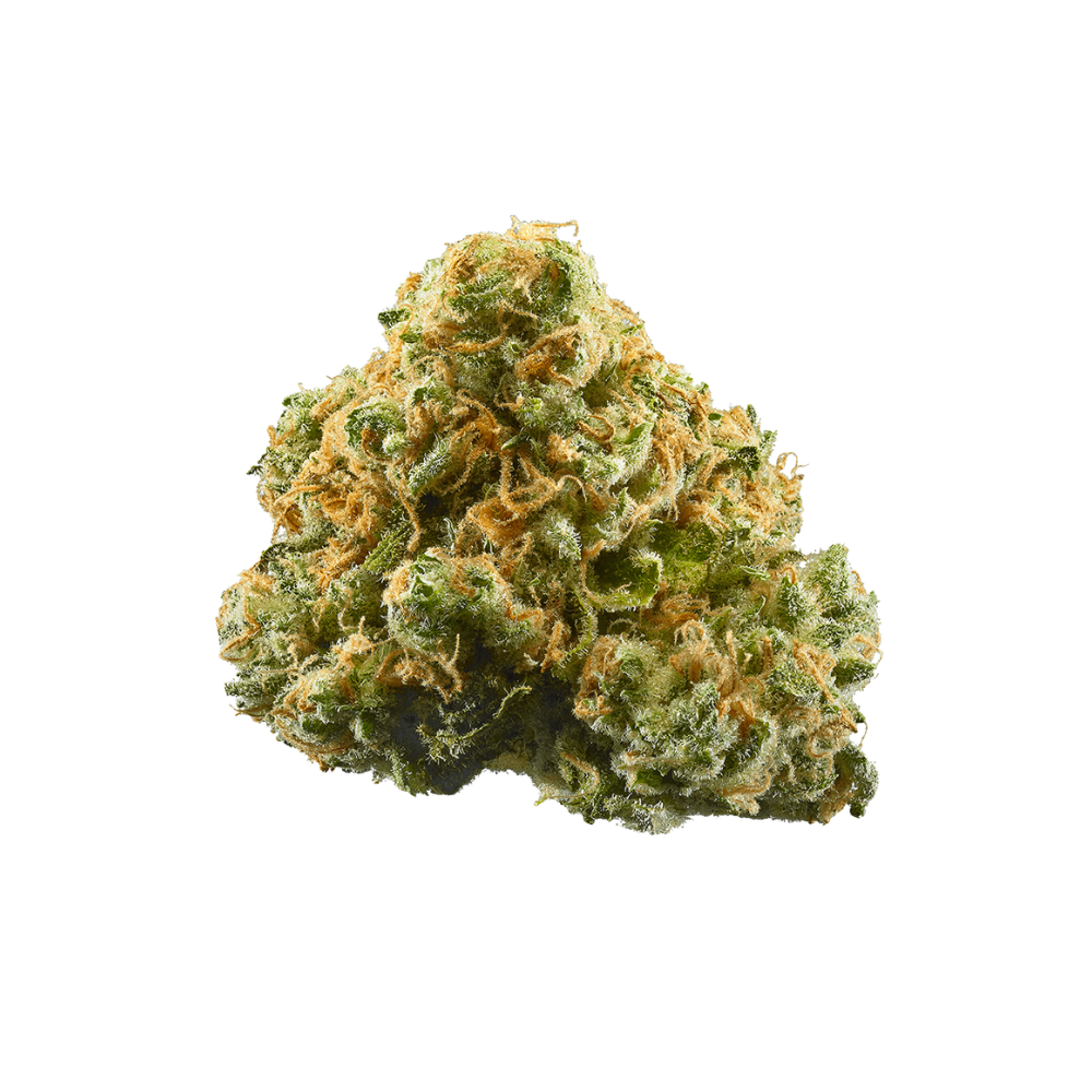 Haven Herb flower bud with dense trichomes and orange hairs relaxing weed for sleep