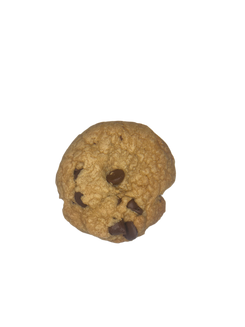 Fresh Baked Infused Cookie 42mg