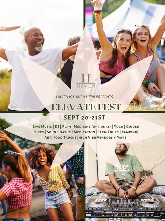 Elevate Fest Tickets