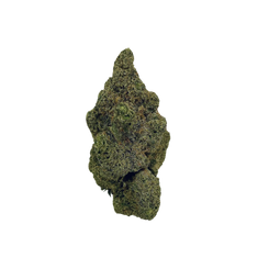 Haven Herb premium marijuana flower, the best daytime marijuana strains for energetic use