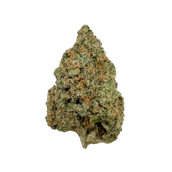 Haven Herb cannabis flower bud representing the best fruity cannabis strains with vibrant green and orange hues