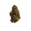 BLACK MAPLE