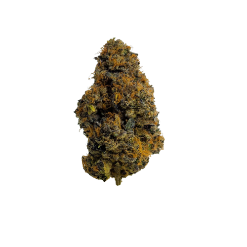 BLACK MAPLE