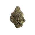 BLACK BACCARA