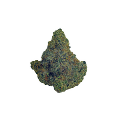 Close-up of Haven Herb Blue Dream strain cannabis flower bud with dense trichomes and green hues