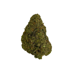 Haven Herb cannabis flower bud with dense green and orange trichomes on black background