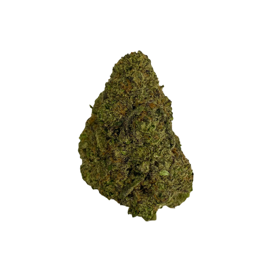 Haven Herb cannabis flower bud with dense green and orange trichomes on black background