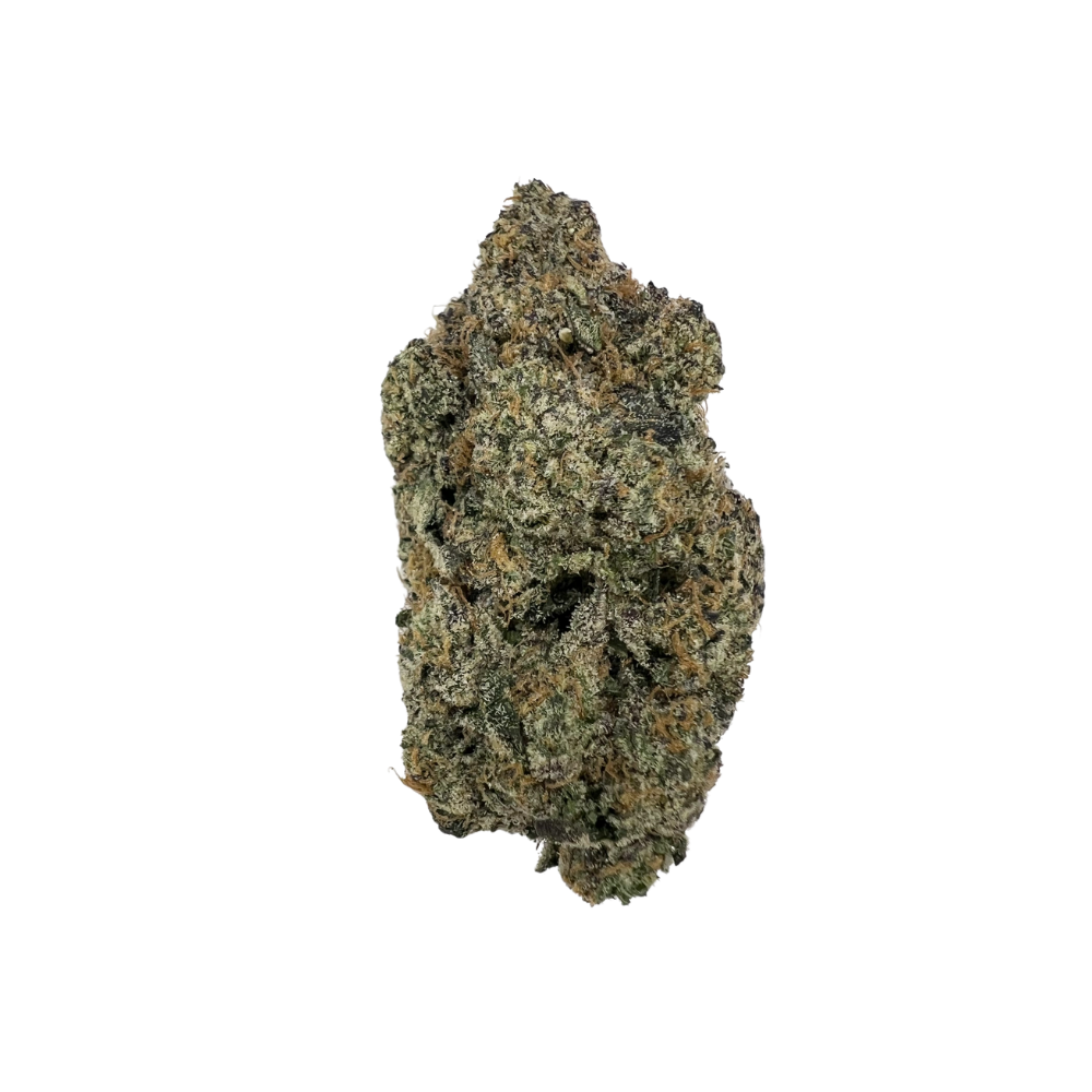 Haven Herb cannabis flower bud with dense trichomes and orange hairs on black background