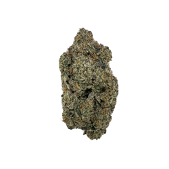 Haven Herb cannabis flower bud with dense trichomes and orange hairs on black background