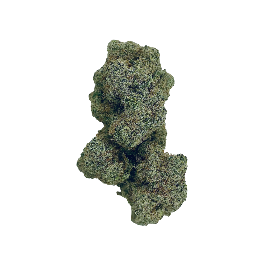 Close-up of Haven Herb cannabis flower showing the best MAC 1 bud online with dense trichomes