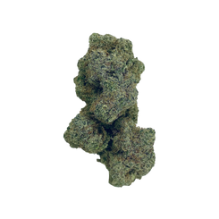 Close-up of Haven Herb cannabis flower showing the best MAC 1 bud online with dense trichomes