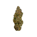 Haven Herb premium cannabis flower bud with dense trichomes and green and purple hues on black background