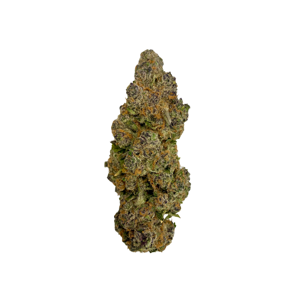 Haven Herb premium cannabis flower bud with dense trichomes and green and purple hues on black background