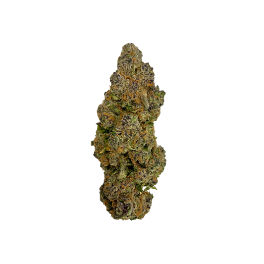Haven Herb premium cannabis flower bud with dense trichomes and green and purple hues on black background