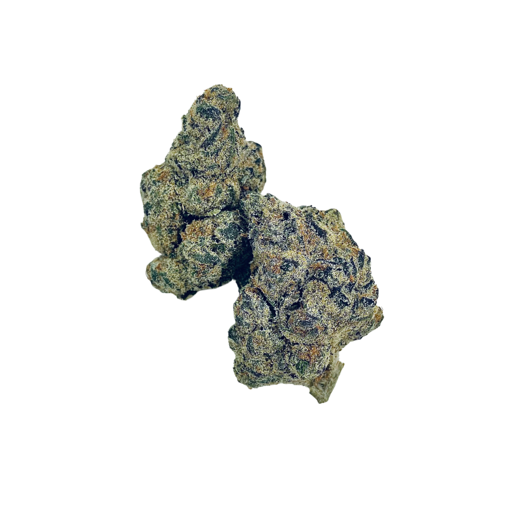 Haven Herb premium hybrid cannabis flower buds with dense trichomes and rich colors on black background