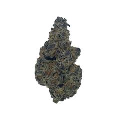 Haven Herb premium hybrid cannabis flower close-up showing dense trichomes and vibrant colors
