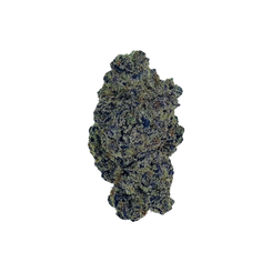 Haven Herb premium indica flower dense bud with trichomes on black background