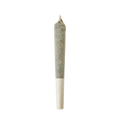 Premium pre-roll joint from Haven Herb Garden Bar for premium pre-roll online downtown Raleigh