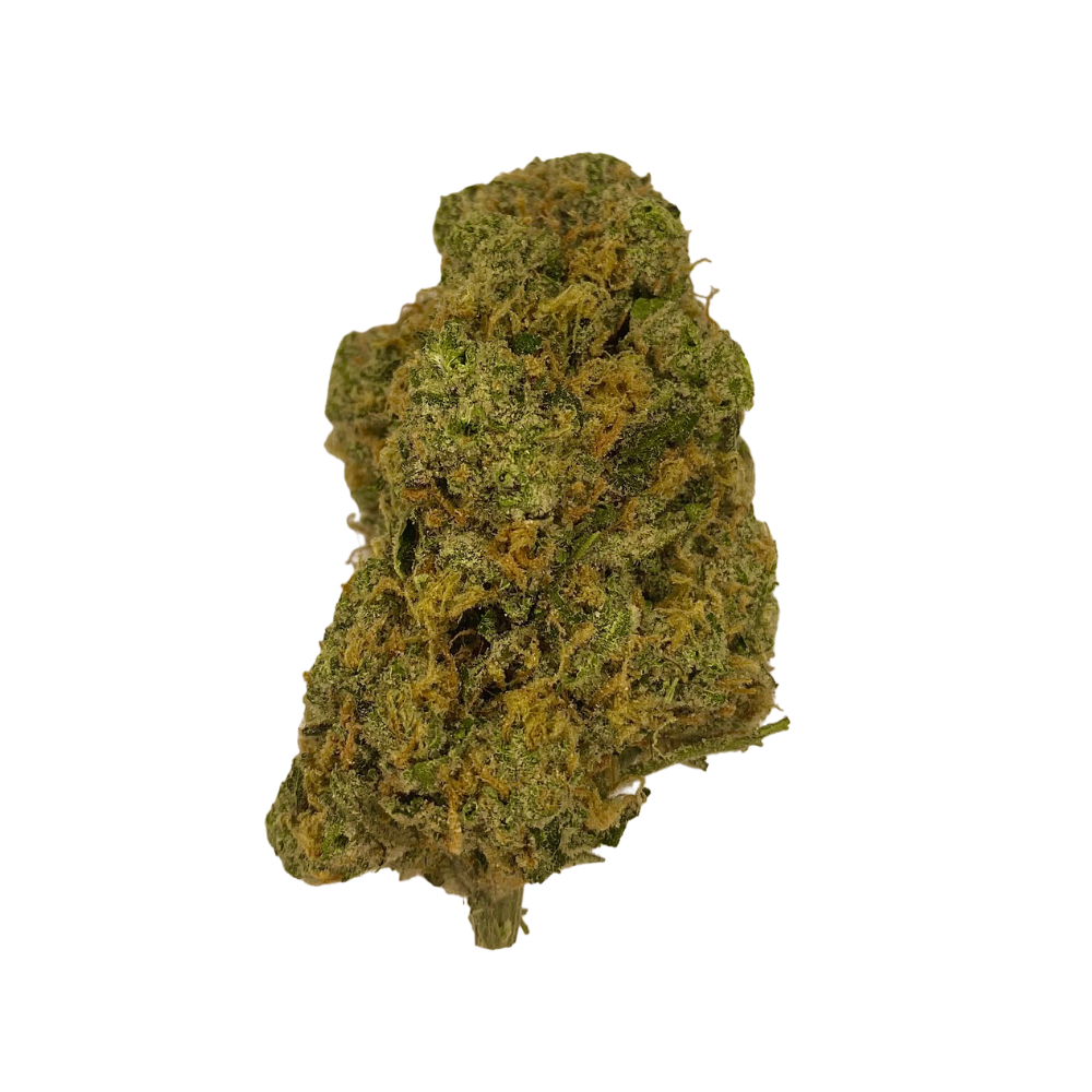 Haven Herb premium sativa cannabis flower bud with dense green and orange trichomes on black background