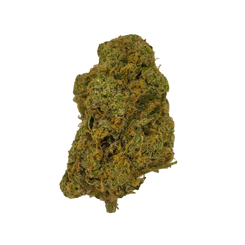 Haven Herb premium sativa cannabis flower bud with dense green and orange trichomes on black background