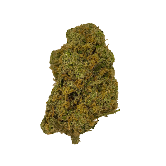 Haven Herb premium sativa cannabis flower bud with dense green and orange trichomes on black background