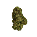 Haven Herb sativa cannabis flower close-up showing dense green buds with orange hairs