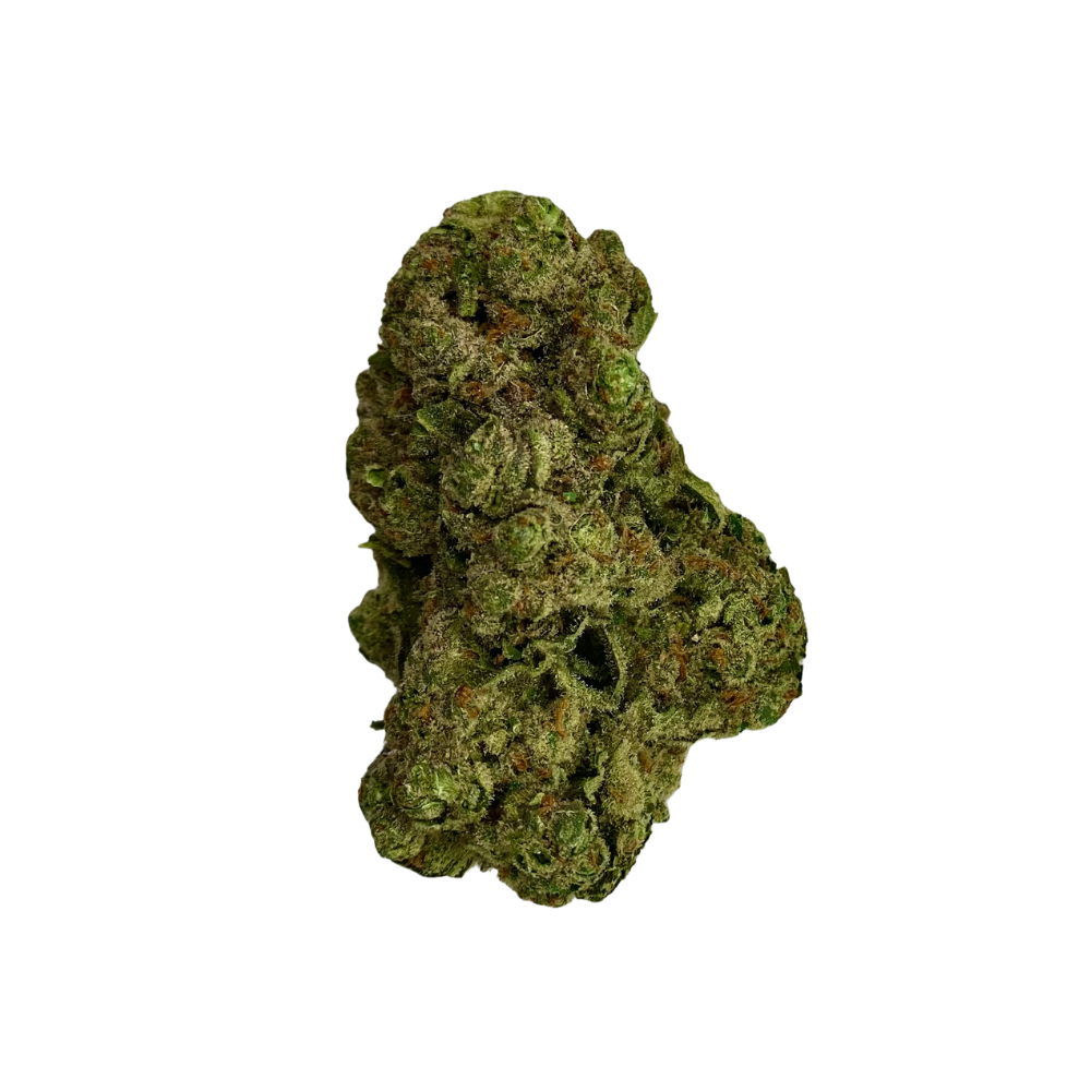 Haven Herb sativa cannabis flower close-up showing dense green buds with orange hairs