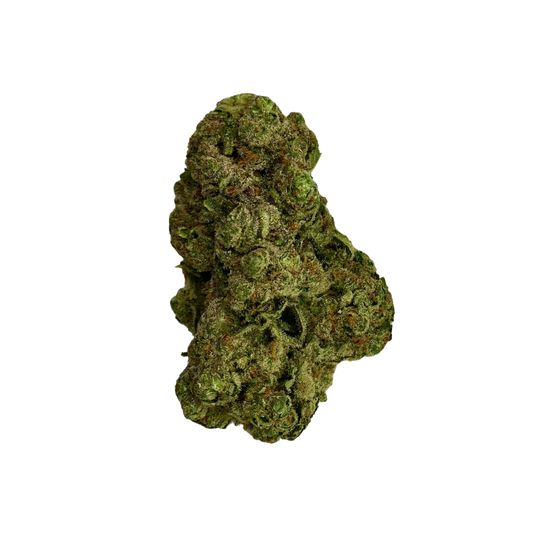 Haven Herb sativa cannabis flower close-up showing dense green buds with orange hairs