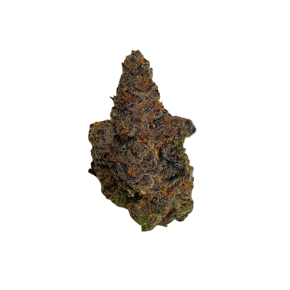 Close-up of Purple Ice Water cannabis strain flower by Haven Herb with purple and orange hues
