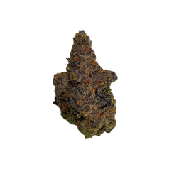 Close-up of Purple Ice Water cannabis strain flower by Haven Herb with purple and orange hues