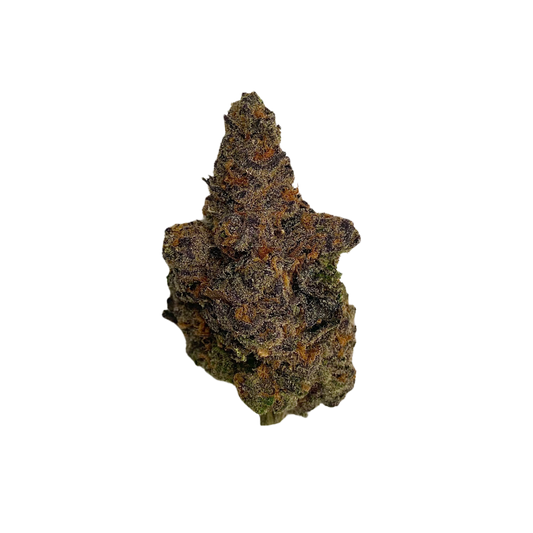 Close-up of Purple Ice Water cannabis strain flower by Haven Herb with purple and orange hues