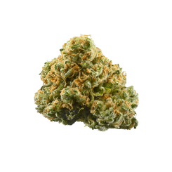 Haven Herb flower bud with dense trichomes and orange hairs relaxing weed for sleep
