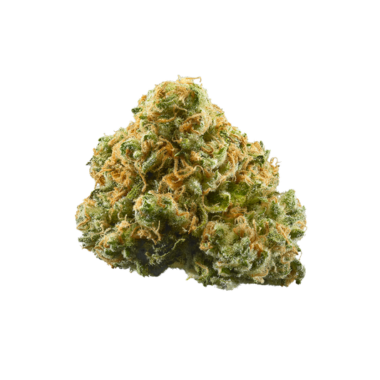 Haven Herb flower bud with dense trichomes and orange hairs relaxing weed for sleep
