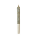Haven Herb sativa cannabis pre-roll single joint with white filter tip on white background
