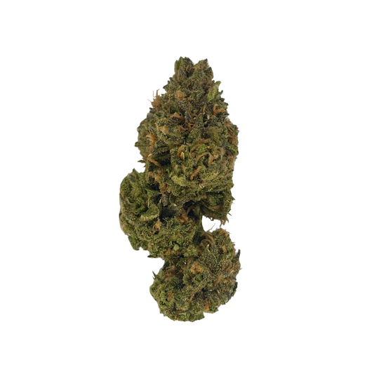 Close-up of Tear Gas cannabis strain flower by Haven Herb with dense green and orange buds