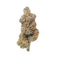 Close-up of tropical cannabis flower by Haven Herb with dense orange and green buds on black background