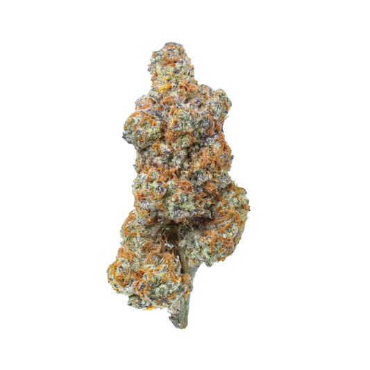 Close-up of tropical cannabis flower by Haven Herb with dense orange and green buds on black background